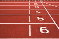 The Impact of Recruitment and Selection Process in an Organization Image