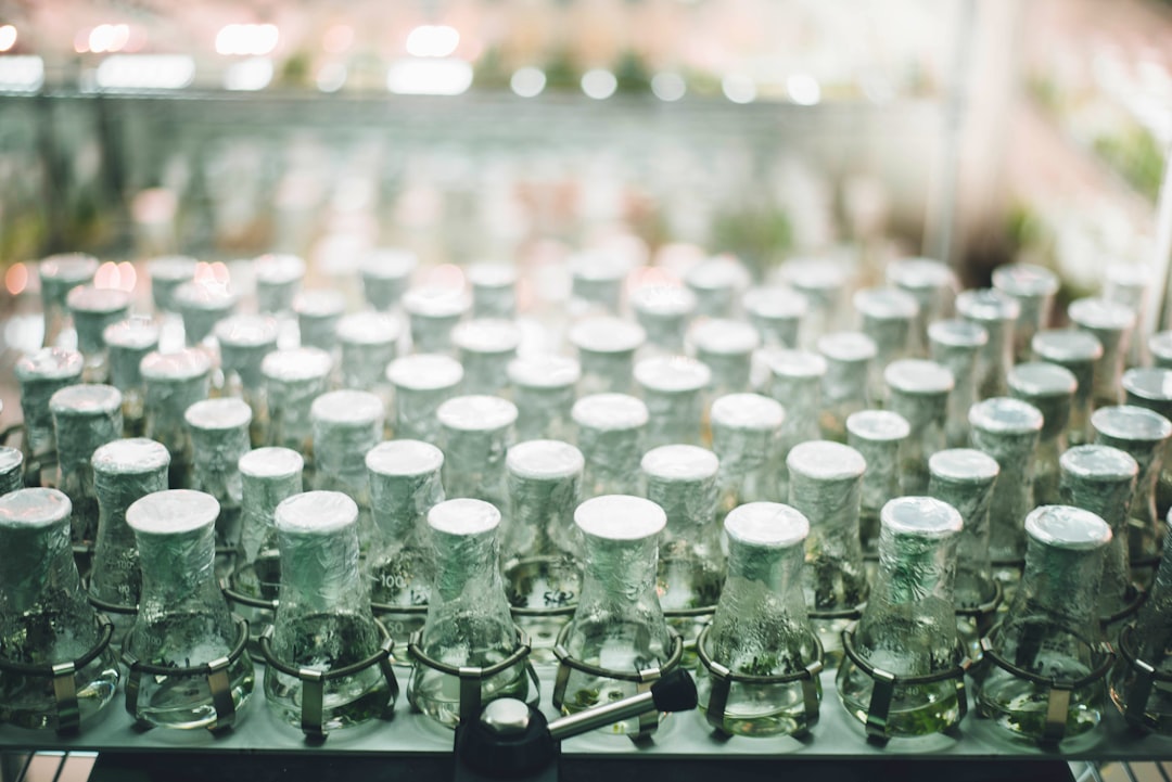 Pendekatan Hukum Adat dalam Menyelesaikan Konflik Masyarakat pada Daerah Otonom Image