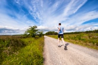 Pengaruh Penggunaan Model Pembelajaran Contextual Teaching Learning (Ctl) Terhadap Hasil Belajar Bilangan Cacah Di Kelas II Sdn Dander 1 Bojonegoro Image