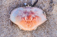 Evaluasi Kinerja Instalasi Pengolahan Lumpur Tinja (IPLT) Keputih, Surabaya Image