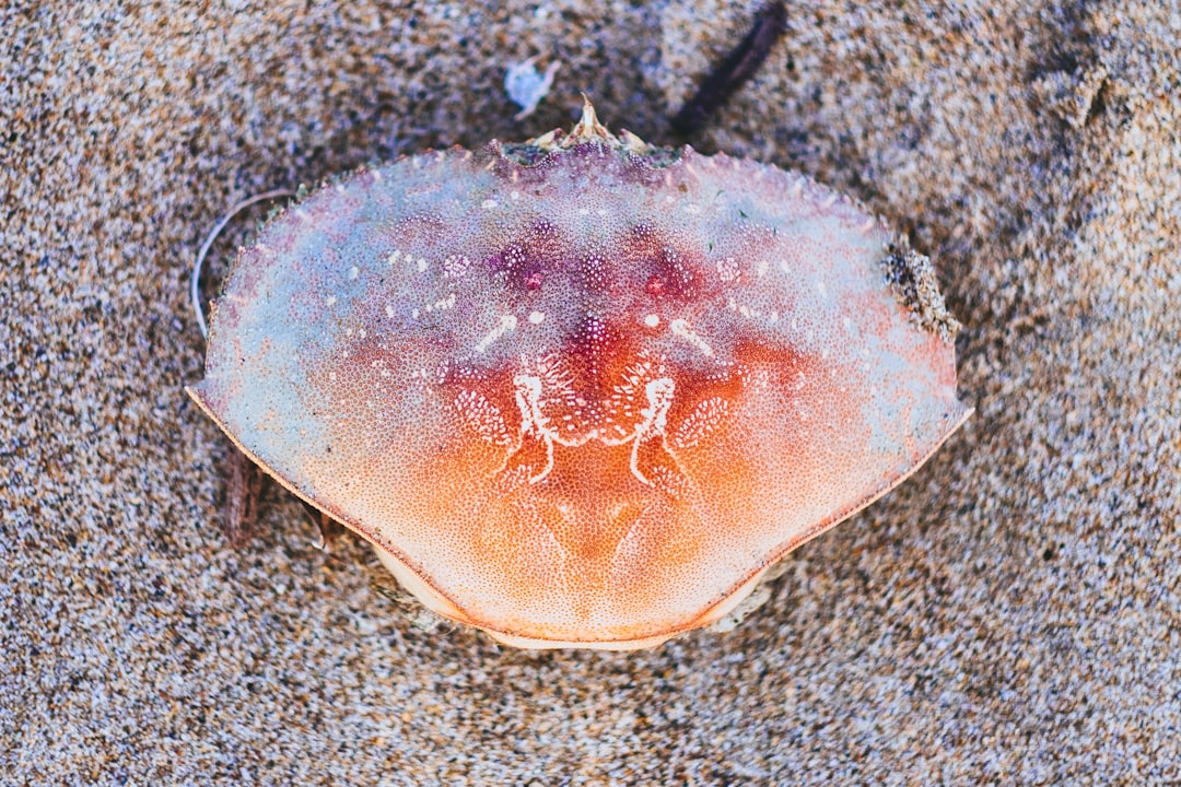 Evaluasi Kinerja Instalasi Pengolahan Lumpur Tinja (IPLT) Keputih, Surabaya Image