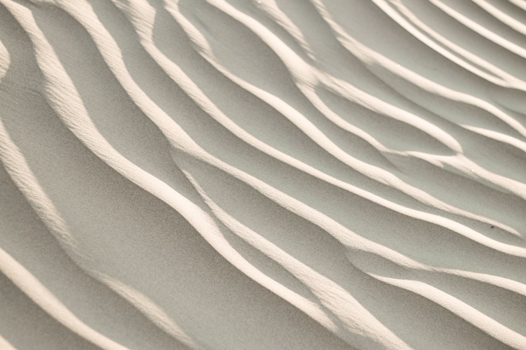 Efikasi Insektisida Berbahan Aktif Cypermethrin Dengan Metode Lethal Ovitrap Terhadap Aedes Aegypti Di Laboratorium Image