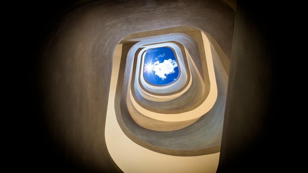 Kehidupan Nyamuk Culex Image