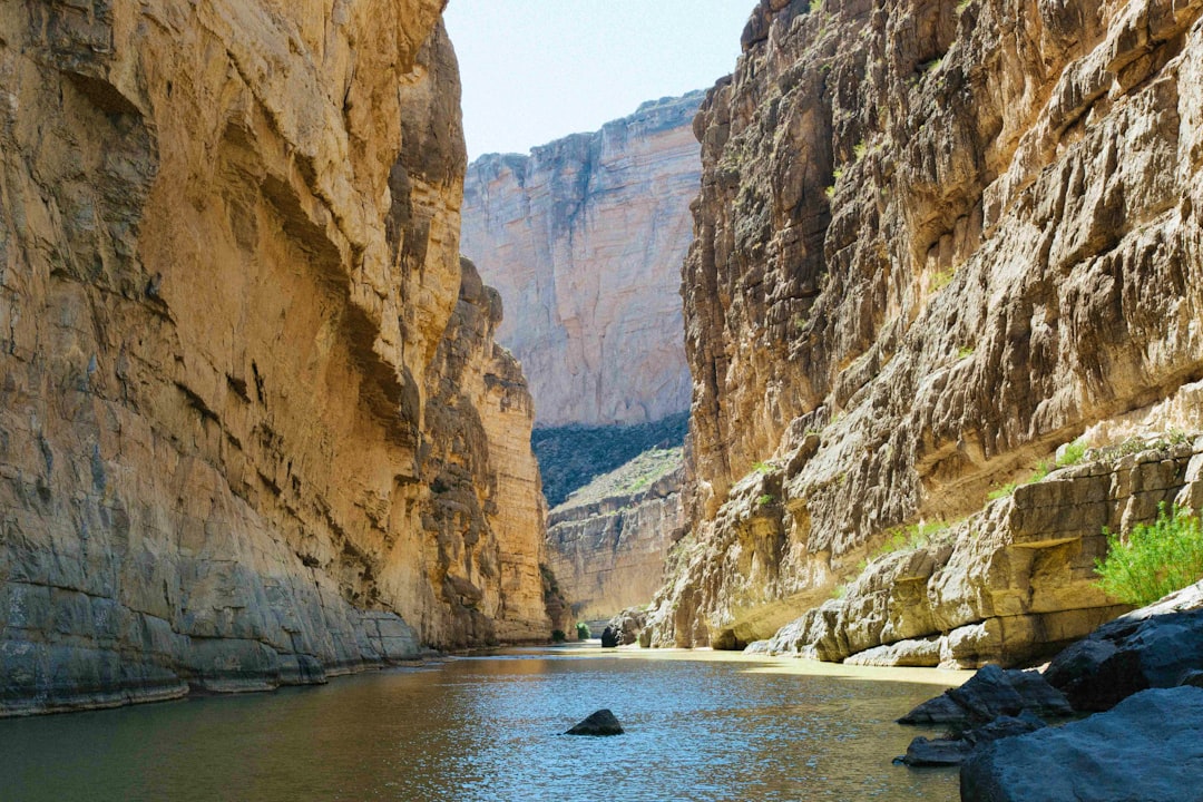 Struktur Komunitas Gulma pada Pertanaman Jagung (Zea Mays L.) di Desa Suka Maju Kecamatan Sungai Betung Kabupaten Bengkayang Image