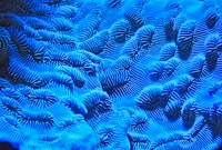 Kontroversi Transportasi Online sebagai Dasar Pembenahan Fasiltas Layanan Penumpang Bagi Pelaku Bisnis Transportasi di Surabaya Image