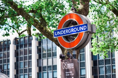 Penerapan Model Pembelajaran Inkuiri Terbimbing pada Materi Sistem Ekskresi Kulit untuk Meningkatkan Keterampilan Proses Sains Siswa Kelas XI SMA Image