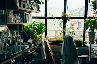 RESPON PERTUMBUHAN DAN PRODUKSI DUA VARIETAS TANAMAN TERUNG (Solanum Melongena. L) PADA BERBAGAI JENIS LIMBAH ORGANIK Image