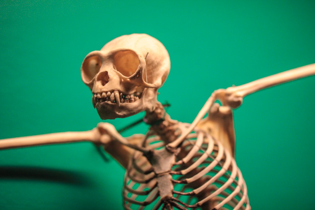 Pemanfaatan LKS Digital untuk Meningkatkan Hasil Belajar KKPI di SMK Negeri 1 Gesi Kabupaten Sragen Image