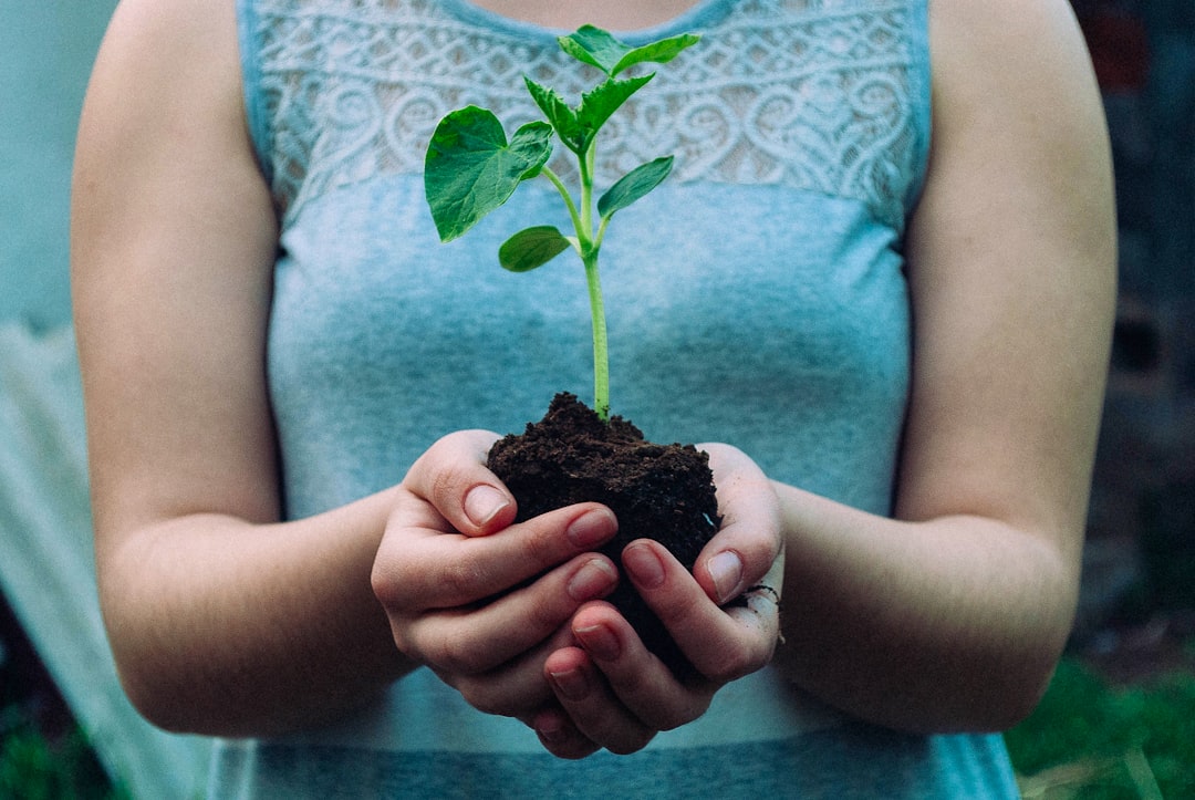Pahlawan yang Terlupakan: Pers Melayu, Etnik Thionghoa, dan Nasionalisme di Kota Malang 1920\u002D1950 Image