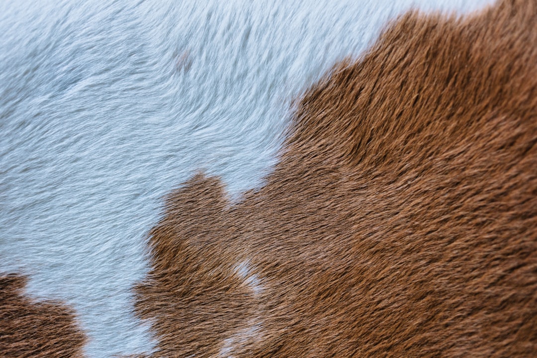 Penggunaan Metode Diskusi Kelompok pada Mata Pelajaran Matematika dan Pkn untuk Meningkatkan Hasil Belajar Siswa Kelas V Sdn 006 Koto Inuman Kecamatan Inuman Image