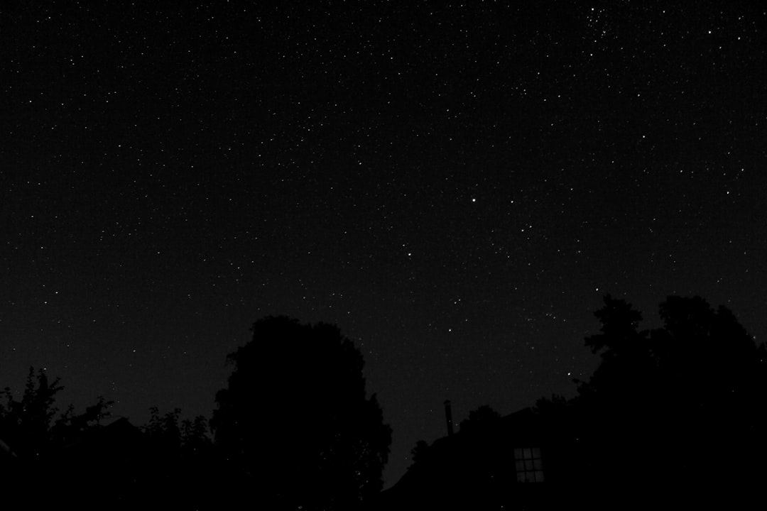 Meanings of English Loanwords in Indonesian Articles of Sport Image