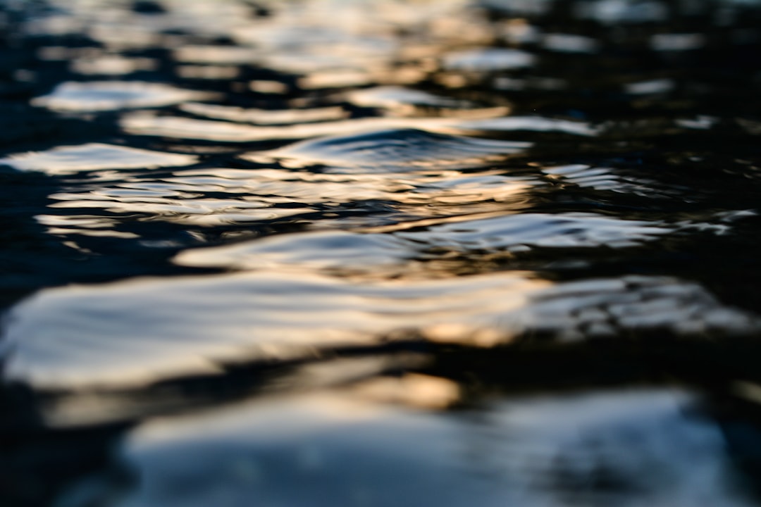 Pengaruh Pupuk Vermikompos pada Tanah Inceptisol terhadap Pertumbuhan dan Hasil Sawi Hijau (Brassica Juncea L) Image