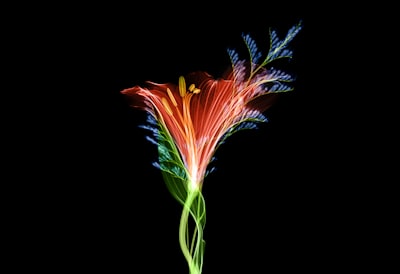 Prinsip Checks And Balances dalam Sistem Ketatanegaraan Indonesia Image