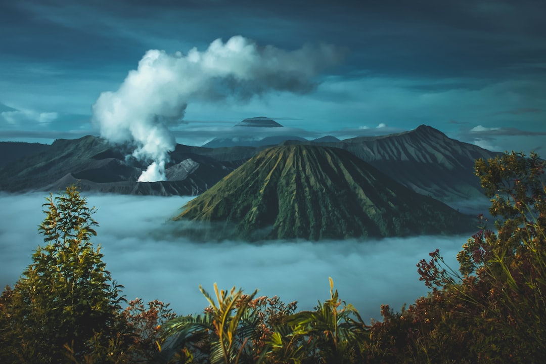 Kinerja dan Motivasi Penyuluh Pertanian di Provinsi Jawa Barat Image