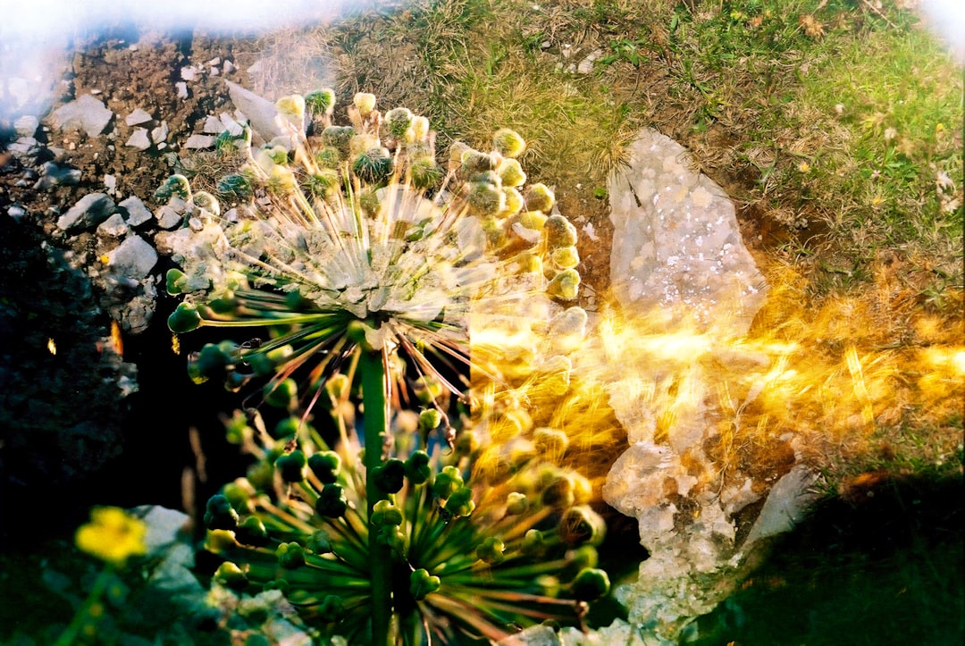 Hidrosefalus di RSU Dr. Soedarso Pontianak dalam Masa 1 Januari 2008\u002D31 Desember 2009 Image