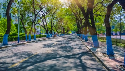 Groundwork for Strengthening the Rural Health System: How to Revitalize the Roles of Village Midwives? Image