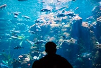 The Influence of Breastfeeding Initiation on Newborn Body Temperature Image