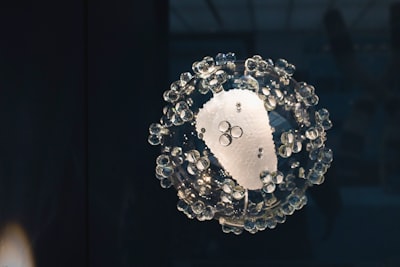 A Comparative Study of Finger Vein Recognition by Using Learning Vector Quantization Image