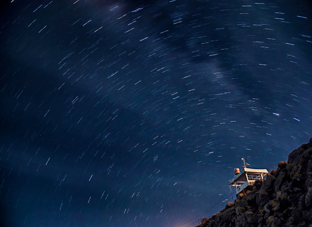 Abundance and Diversity of Echinoderm in Pari Island, Seribu Islands Image