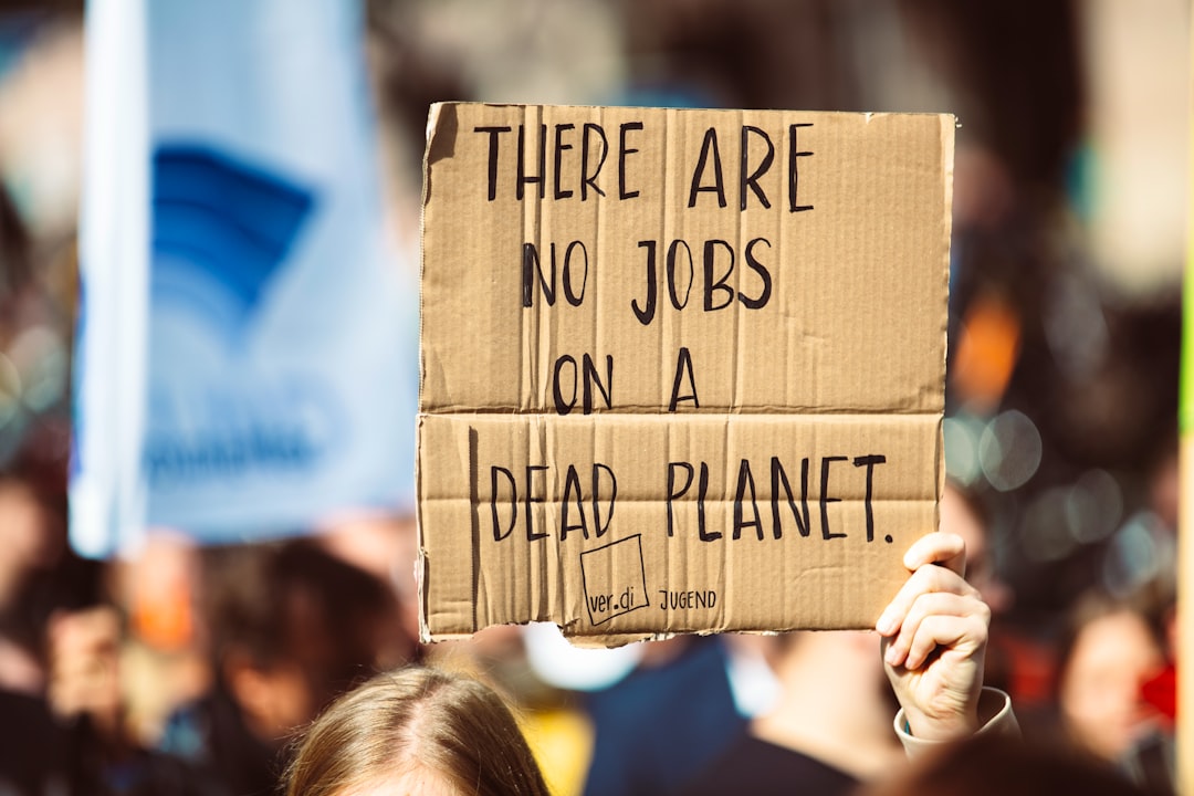 Analysis of Recording, Calculation and Reporting of Value Added Tax (Vat) Based on E\u002Dfaktur at PT. Berkat Rehobot Manado Image