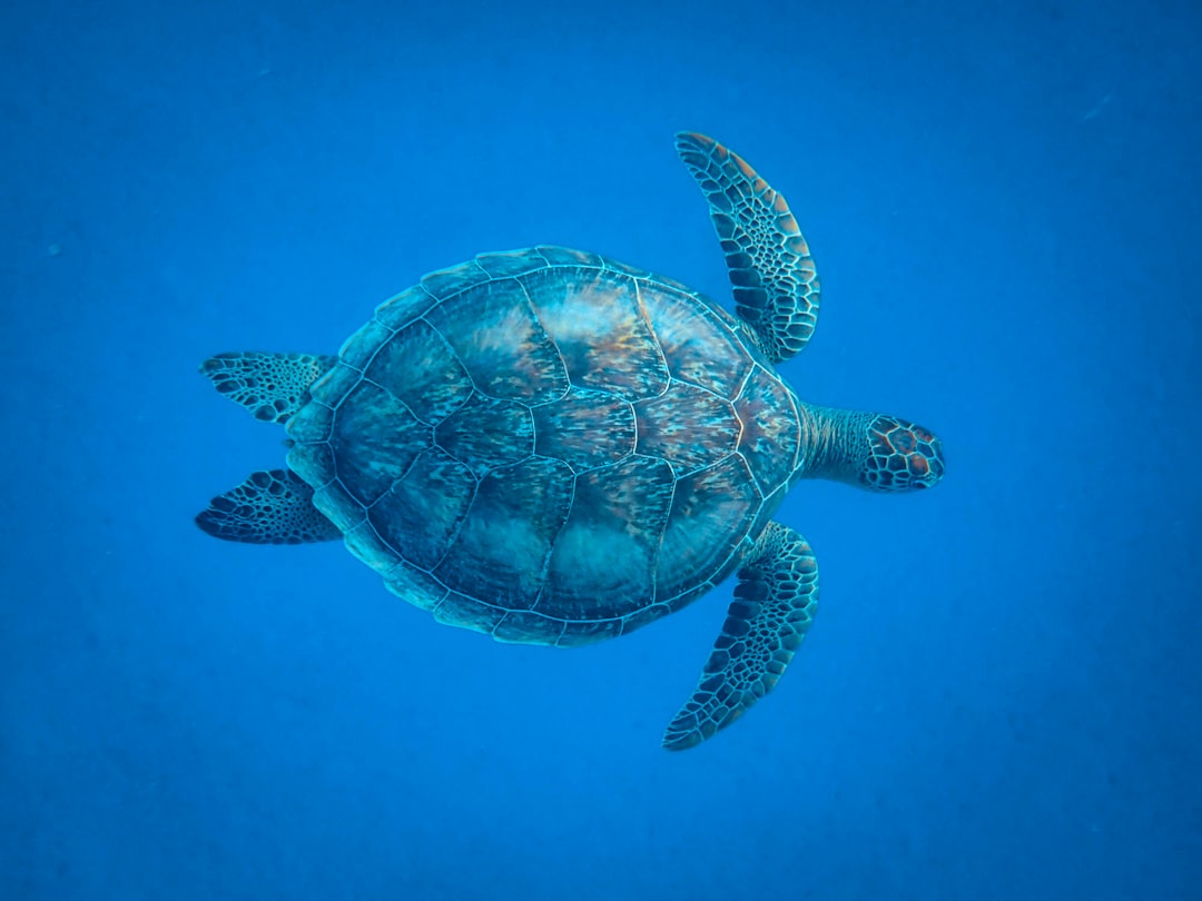 Kajian Kualitas Permukiman Mikro di Kota Temanggung Image