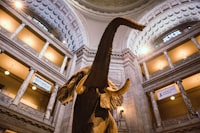 Risk Factors of Preeclampsia Among Pregnant Women in Indonesia Image