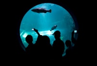 Student Plagiarism – Causes and Suggested Solutions Image