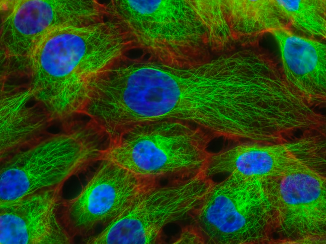 THE USE OF CARD SORT STRATEGY TO IMPROVE ESP STUDENTS’ READING COMPREHENSION AT UNIVERSITAS MUHAMMADIYAH SINJAI Image