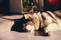 Monitoring of Total Suspended Solid in Coastal Waters Due to Conventional Gold Mining Using Multi Temporal Satellite Data, Case Study: Bombana, Southeast Sulawesi Image