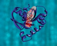 Analysis OF the Factors Affecting China\u0027s Mobile Economy Image