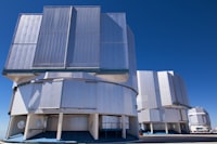 Fig Pollinating Wasp Transfers Nematodes Into Figs of Ficus Racemosa in Sumatra, Indonesia Image