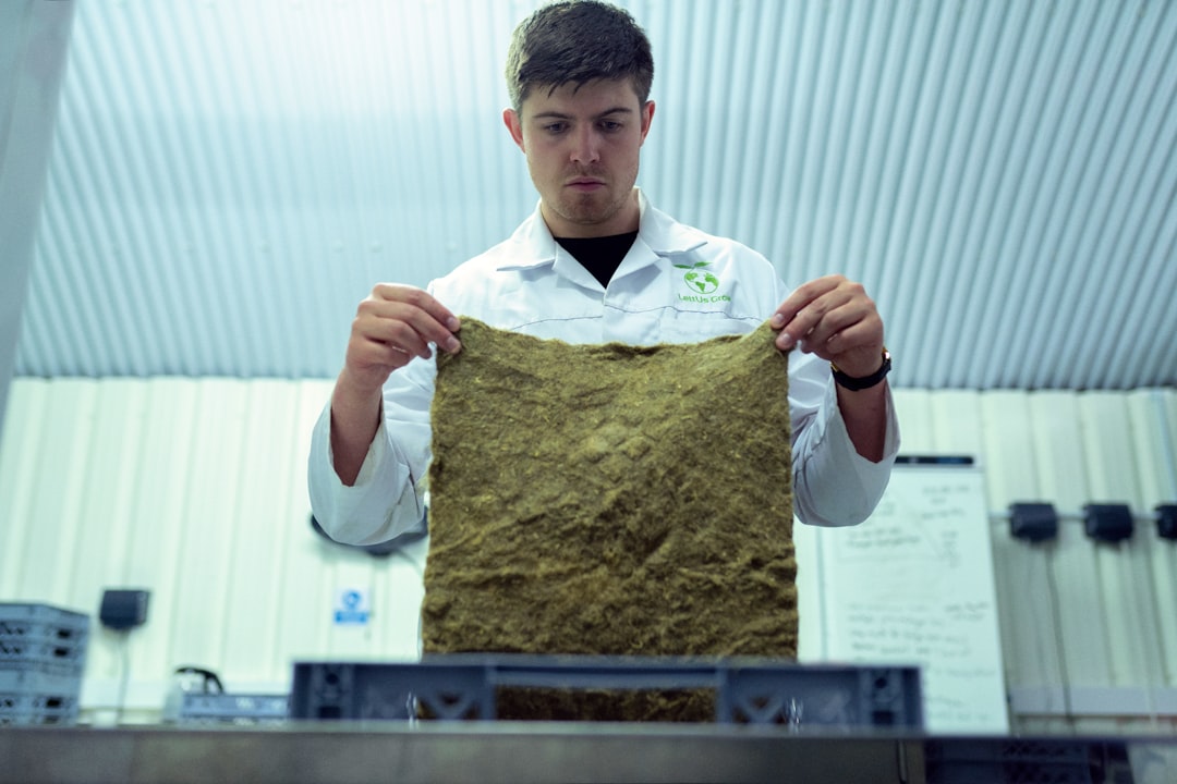 Polygamy and Muslim Women in Contemporary Indonesian Literature Image