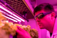 The Effect of Advertising on Brand Equity: Empirical Evidence From the Mobilephone Market in Central Vietnam Image