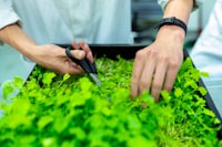 Research on Employees\u0027 Career Development: Case of Starbucks Corporation Image