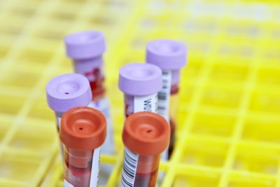 Pengembangan Modul Fisika Berbasis Potensi Lokal Kerajinan Gerabah Kasongan YOGYAKARTA pada Materi USAha dan Energi untuk Siswa SMA Image