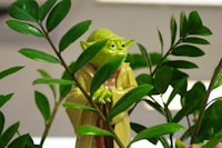 Influence of the Transglutaminase Enzyme on Properties of Flour Proteins Image