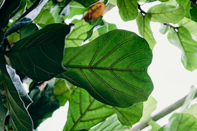 Burnout and Workforce Retention in Healthcare: Challenges and Evidence\u002Dbased Strategies Image