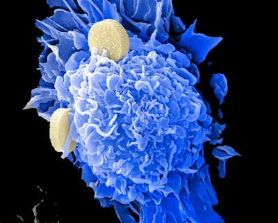 A Preliminary Study on the Application of Eucalyptus Oil for Antibacterial Properties on Cotton/polyester Fabrics Image