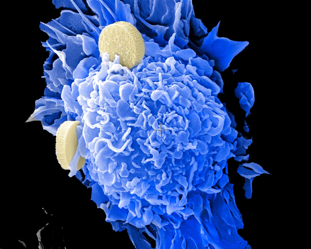 Biologi, Sains, Lingkungan dan Pembelajarannya dalam Upaya Peningkatan Kemampuan dan Karakter Siswa Image