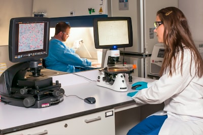 “You Don\u0027t Have to Be Innovative in the Creative Industries” a Study of Entrepreneurial Orientation and Social Capital in Creative Industries Image