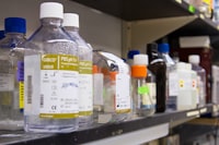 Eastern Family Education in the Eyes of Our Country! Image