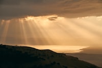 Pengaruh Promosi Penjualan dan Kualitas Pelayanan terhadap Keputusan Pembelian di Krema Koffie Image