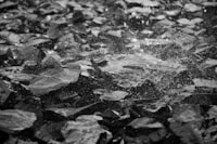 Analysis And Design Of Shear Wall For High Rise Building (G+10) Using Staad Pro Image