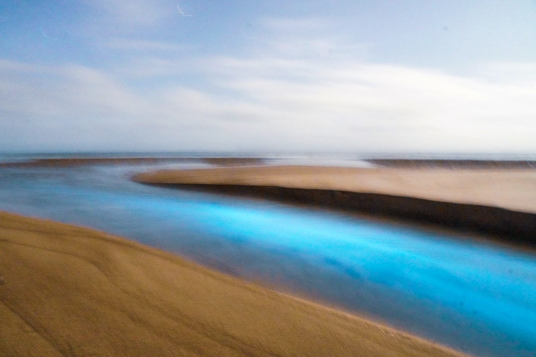 Effect of Vitamin \u002D Mineral Supplementation in Commercial Feed on the Digestibility Coefficient and Rumen Fermentation of Bali Cattle Image