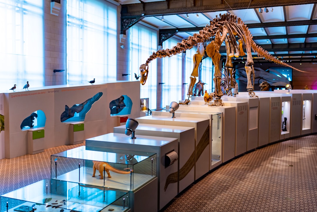 Analisa Likuidasi Persekutuan Setelah Proses Realisasi Menggunakan Ms. Access Programming Image