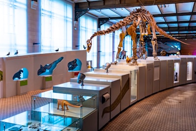 Pengembangan Tes Diagnostik sebagai Alat Evaluasi Kesulitan Belajar Fisika Image