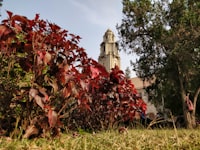 Penggunaan Media Teka\u002Dteki Silang untuk Meningkatkan Hasil Belajar Siswa pada Mata Pelajaran IPS Kelas V Sdn Songgokerto 01 Batu Image