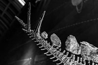 Estimasi Fungsi Spasial Pada Identifikasi Fitur Wajah Image