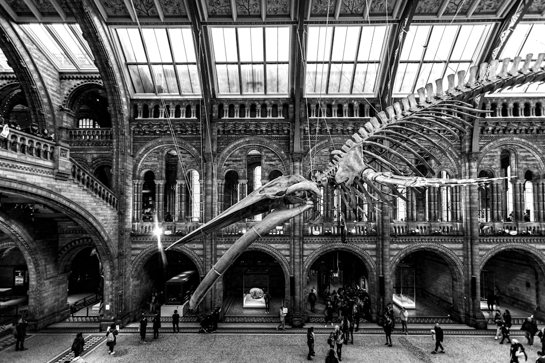 Formulasi Pemupukan Berimbang Pada Tanaman Lada Di Bangka Belitung Image