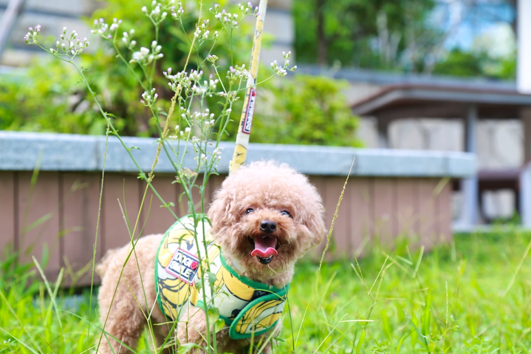 Pengalaman Ibu Menghadapi Remaja dengan Gejala Premenstrual Dysphoric Disorder Image